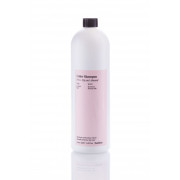 Шампунь для защиты цвета и блеска волос FarmaVita BACK BAR COLOR SHAMPOO №01 1000 мл