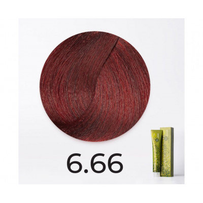 Краска для волос FarmaVita B.Life Color 6.66 Темный блондин насыщенно-красный, 100мл Краска для волос FarmaVita B.Life Color 6.66 Темный блондин насыщенно-красный, 100мл