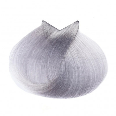 Краска для волос EVE Experience 10.11 платиновый блондин интенсивно пепельный, 100мл Краска для волос EVE Experience 10.11 платиновый блондин интенсивно пепельный, 100мл