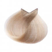 Краска для волос EVE Experience 10.0 платиновый блондин, 100мл