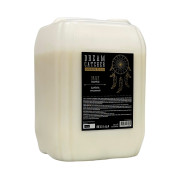 Шампунь для волос DREAM CATCHER Daily shampoo 5000 мл