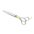 Парикмахерские ножницы прямые для стрижки Antelope RAY 675 625 - 6,75 дюймов (17 см) Парикмахерские ножницы прямые для стрижки Antelope RAY 675 625 - 6,75 дюймов (17 см)