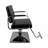 Парикмахерское кресло DiBiDi DY-663 Парикмахерское кресло DiBiDi DY-663