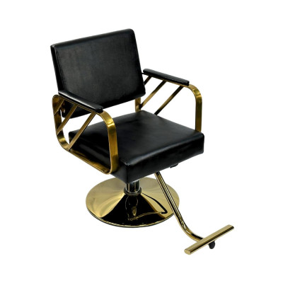 Парикмахерское кресло DiBiDi DY-5013 Парикмахерское кресло DiBiDi DY-5013