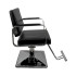 Парикмахерское кресло DiBiDi DY-663 Парикмахерское кресло DiBiDi DY-663