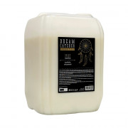 Шампунь для волос DREAM CATCHER Daily shampoo 5000 мл