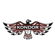  KONDOR «FAST SHADE» - краситель для волос и бороды