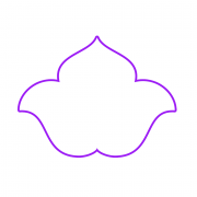 Сменная магнитная насадка с одиночной сеткой JRL для Шейвера SF PRO-SHAVER